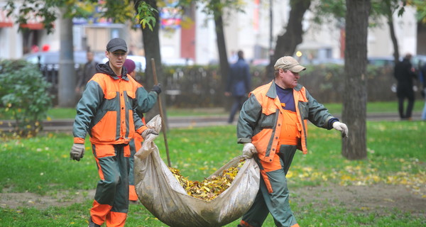 Ах, зачем же нам всем в наказанье листья жгут, листья жгут