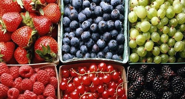 Украина на 40 процентов увеличила экспорт плодов и ягод