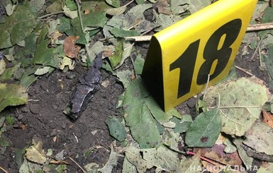 В Харьковской области на снаряде подорвался мужчина