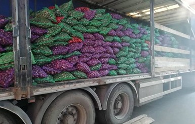 Киевляне собрали 45 тонн каштанов за два месяца