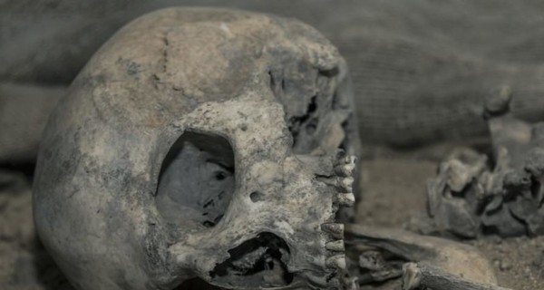 В посольстве Ватикана нашли человеческие кости