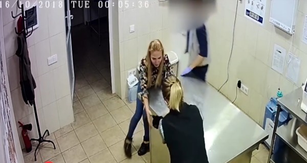 Желая спасти бездомную кошку, жительница Днепра бросилась на ветеринара