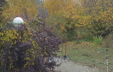 Полиция нашла в киевском парке урну с прахом ребенка
