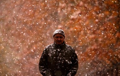 Индию впервые за 10 лет засыпало снегом