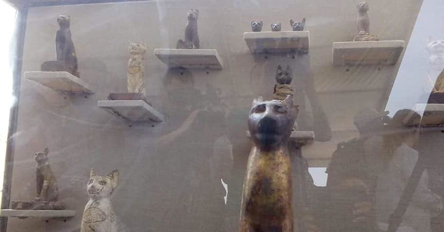 В Египте нашли мумии кошек