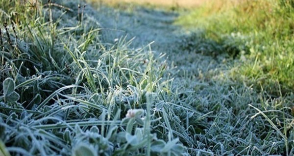 Сегодня днем, 12 ноября, на севере и востоке страны до 3-6 градусов мороза