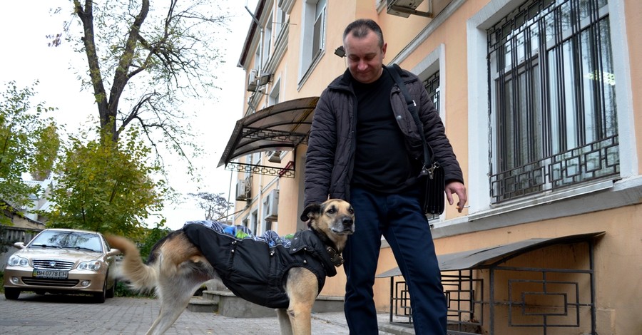 В Одессе собака с тремя лапами мотивирует искать работу
