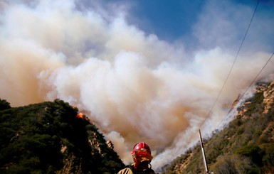 В Калифорнии лесной пожар унес как минимум 44 жизни