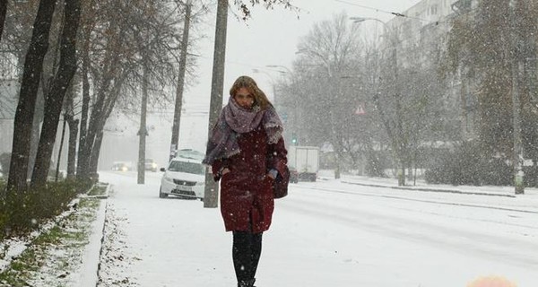 Встреча зимы: почему людей радует первый снег | Никитин