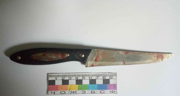 В Никополе брат едва не зарезал тринадцатилетнюю сестру