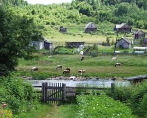 Деревенские парни изнасиловали девушку, а потом забили ее до смерти 