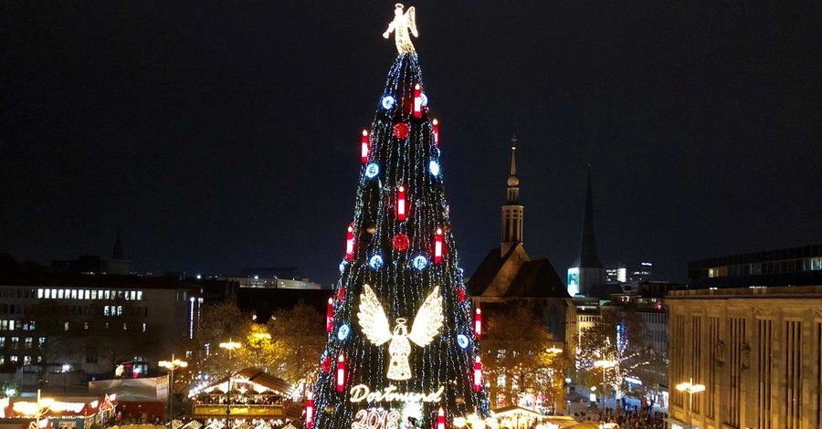 Из 1700 елок в Германии сделали одну 45-метровую новогоднюю ель