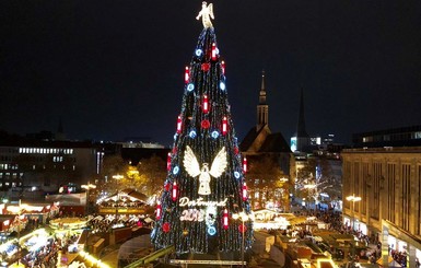 Из 1700 елок в Германии сделали одну 45-метровую новогоднюю ель