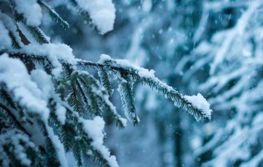 Синоптики рассказали, каким будет первый месяц зимы