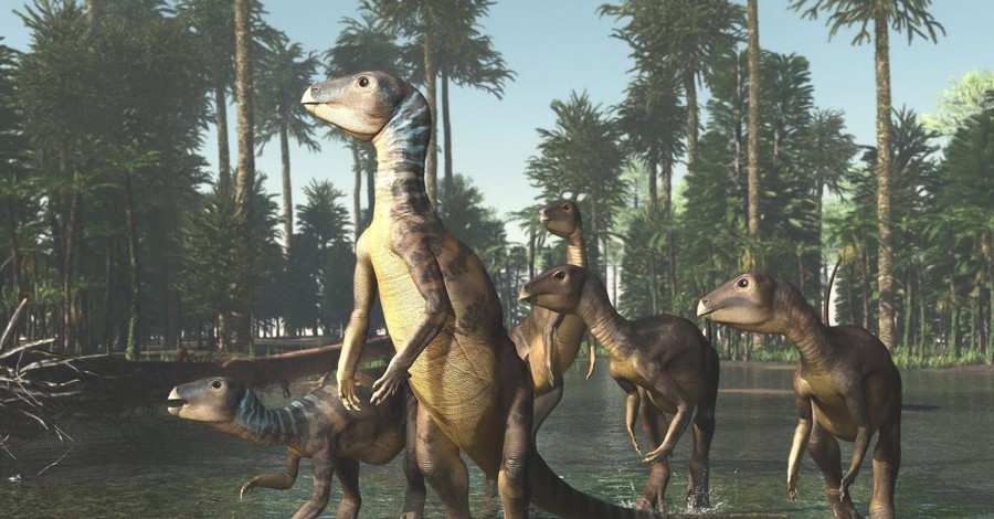 Австралийские опалы оказались останками неизвестного динозавра