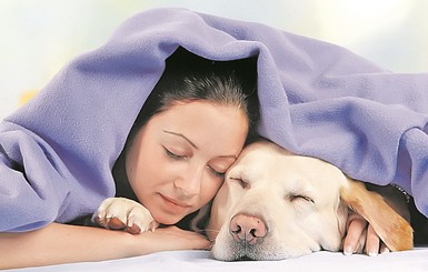Новые исследования: можно мыться раз в неделю и пускать в постель собаку