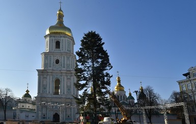 Главная новогодняя ель Украины обошлась в 2,7 миллиона гривен