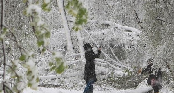 Завтра, 12 декабря, Украину накроют снегопады, метели и дожди