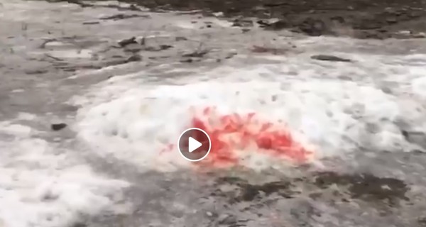 В Киеве дворник стрелял в бомжей из-за пачки макулатуры