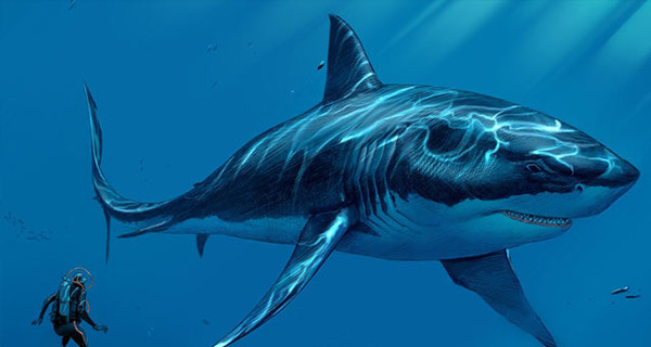 Ученые предположили, что доисторическая акула мегалодон вымерла от рака