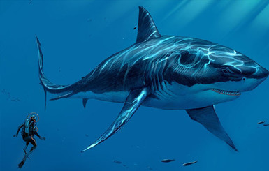 Ученые предположили, что доисторическая акула мегалодон вымерла от рака