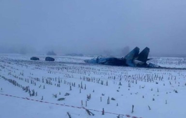 В сети появились первые снимки с места крушения Су-27