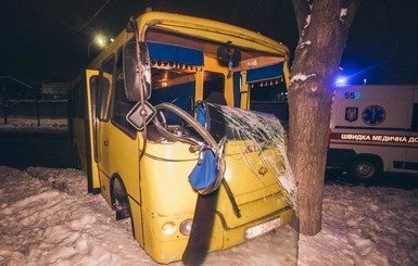В Киеве маршрутка врезалась в дерево