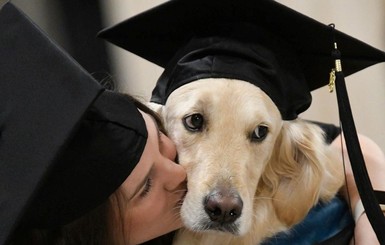 В США собака получила диплом о высшем образовании