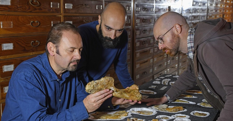 В Италии нашли останки динозавра, жившего 200 миллионов лет назад