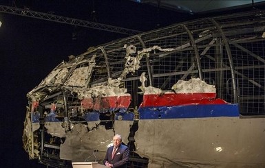NYT: Нидерланды намерены судиться с РФ за сбитый боинг МН-17