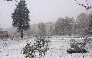 Сегодня днем, 24 декабря, в Украине пройдет снег
