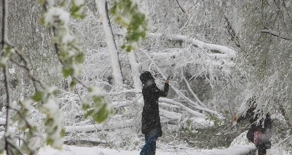 Завтра, 25 декабря, Украину накроют снег и метели