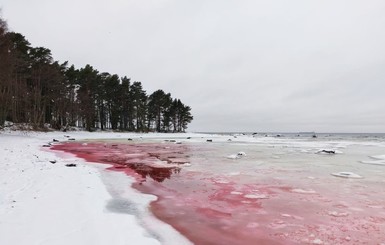 Море в Эстонии окрасилось в кроваво-красный