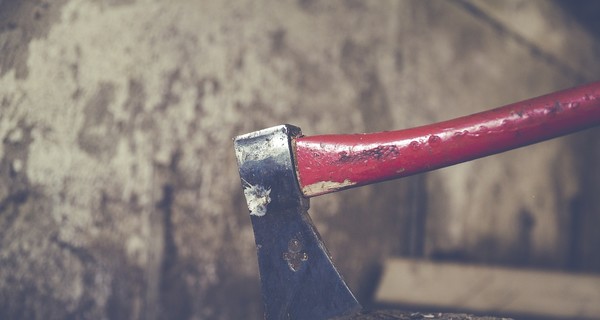 Житель Фастова ждет суда за убийство и расчленение сожительницы