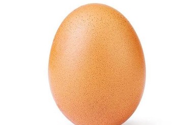 Фотография куриного яйца всего за 10 дней побила рекорд 