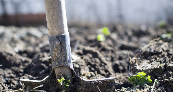 СМИ: возможного убийцу экс-начальника Николаевской таможни задержали за мошенничество