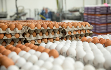 Девяток яиц и 350 граммов сметаны: как нас обманывают упаковки