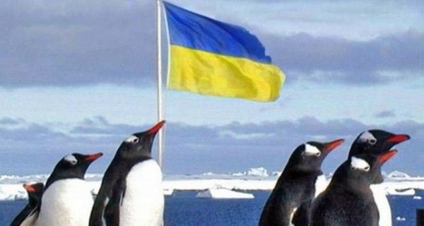 Украина отправит в Антарктиду крупнейшую за 18 лет экспедицию