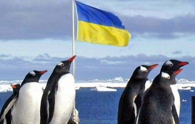 Украина отправит в Антарктиду крупнейшую за 18 лет экспедицию