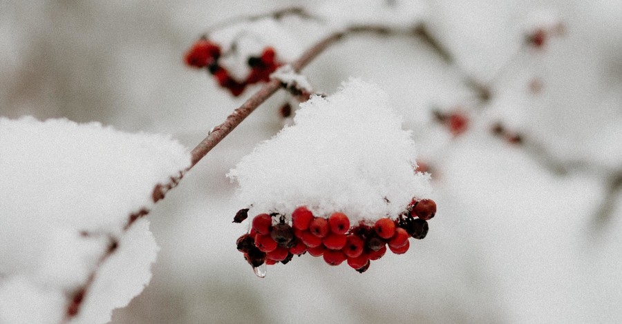 В Украине ударят морозы до 30 градусов