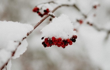 В Украине ударят морозы до 30 градусов
