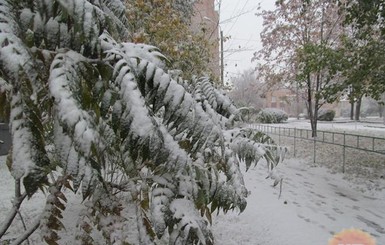 Сегодня днем, 23 января, Украину заметет снегом