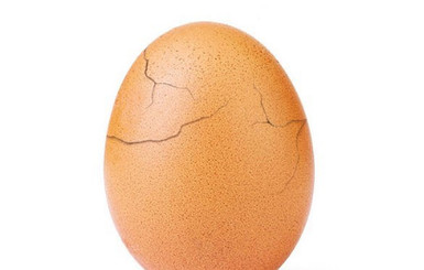 Стала известна причина размещения знаменитого снимка куриного яйца в сети 