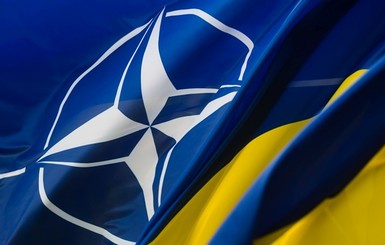 НАТО примет решение по Украине в течение 5 лет