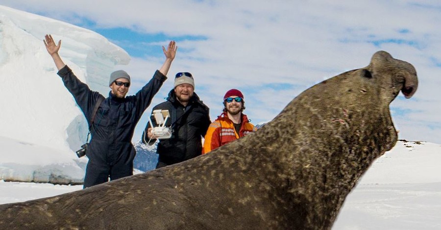 Первый открытый конкурс в Антарктиду: четверо новичков и 