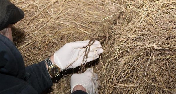 На Одесчине погиб ребенок в цепях