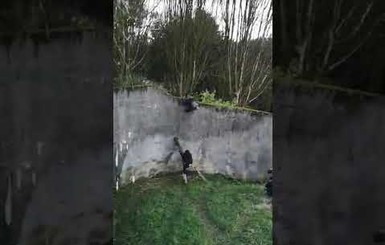 Шимпанзе сбежали из зоопарка в Великобритании, смастерив лестницу