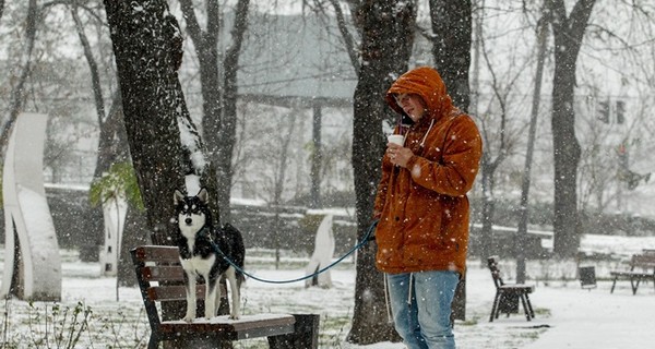 Завтра, 13 февраля, в Украине пройдет небольшой снег