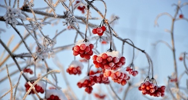 Сегодня днем,22 февраля, в Украине до 8 градусов мороза
