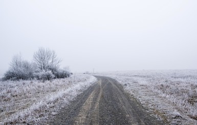 Сегодня днем, 26 февраля, в Украине пройдет дождь и мокрый снег